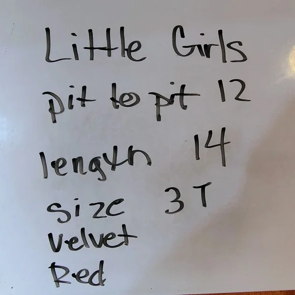 Disney Minnie Mouse Red Velvet‎ Ruffle Hooded Jacket 3T Christmas Holiday - Picture 13 of 13